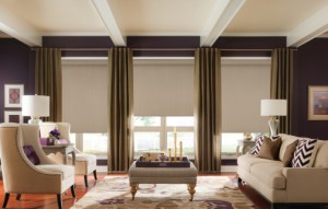 Motorization of Blinds and Shades